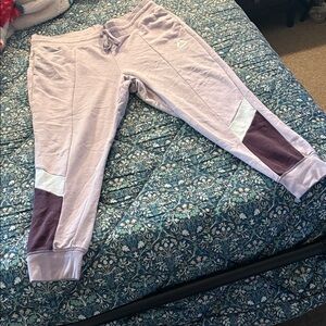 Reebok Womans Lavender Joggers w/ white/plum detailing. Size XXXL (Lightly Worn)